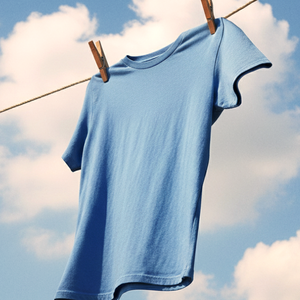 Basis s/s tee (X1001W)