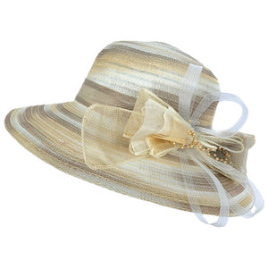 Fascinator hat (ht320050)