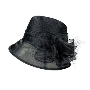 Fascinator hat (ht320230)